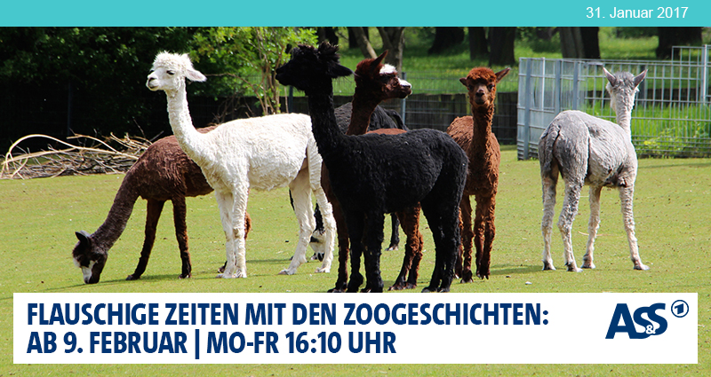 „01_31 Ankündigung Zoogeschichten“ vom 20. January 2016